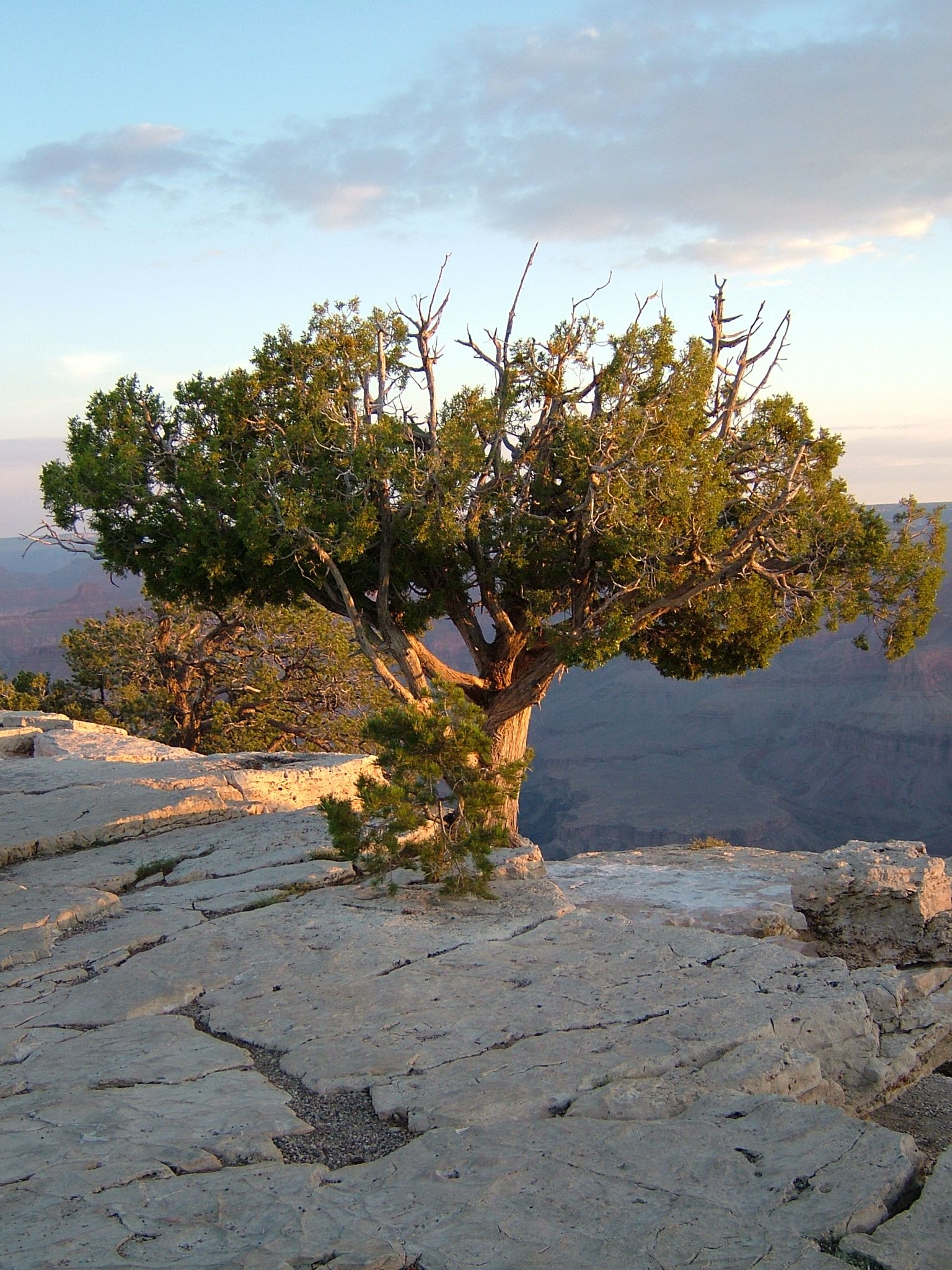 Photo 22 of 61 from the album Highlights USA 2004.