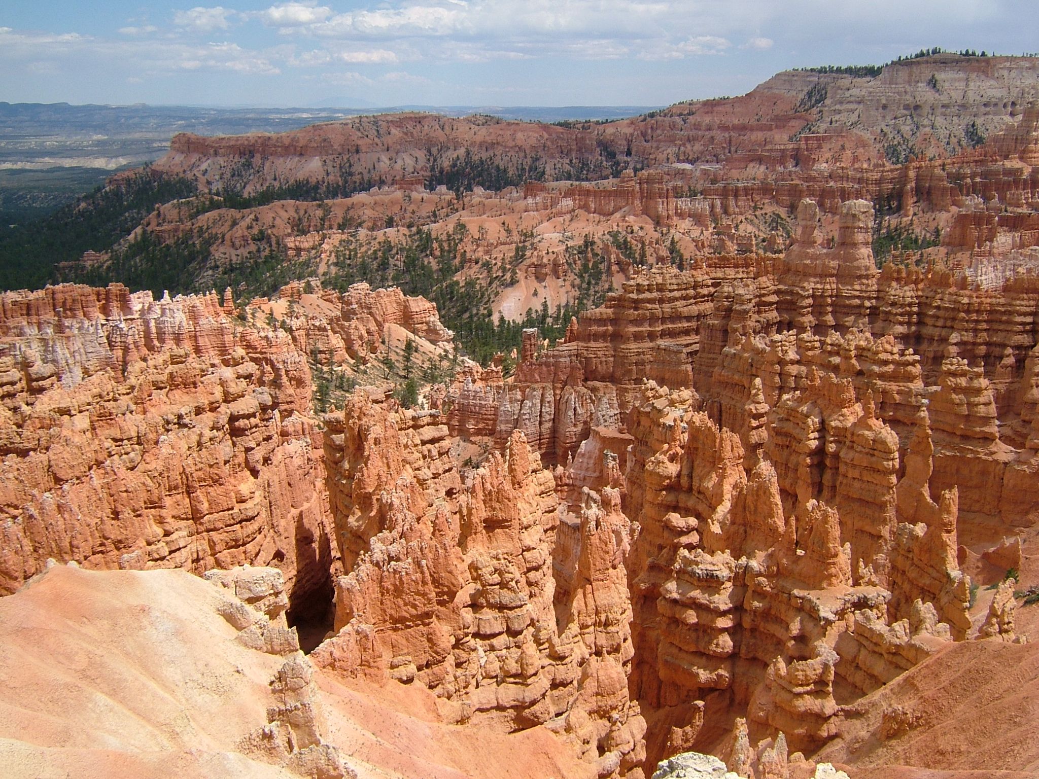 Photo 26 of 61 from the album Highlights USA 2004.