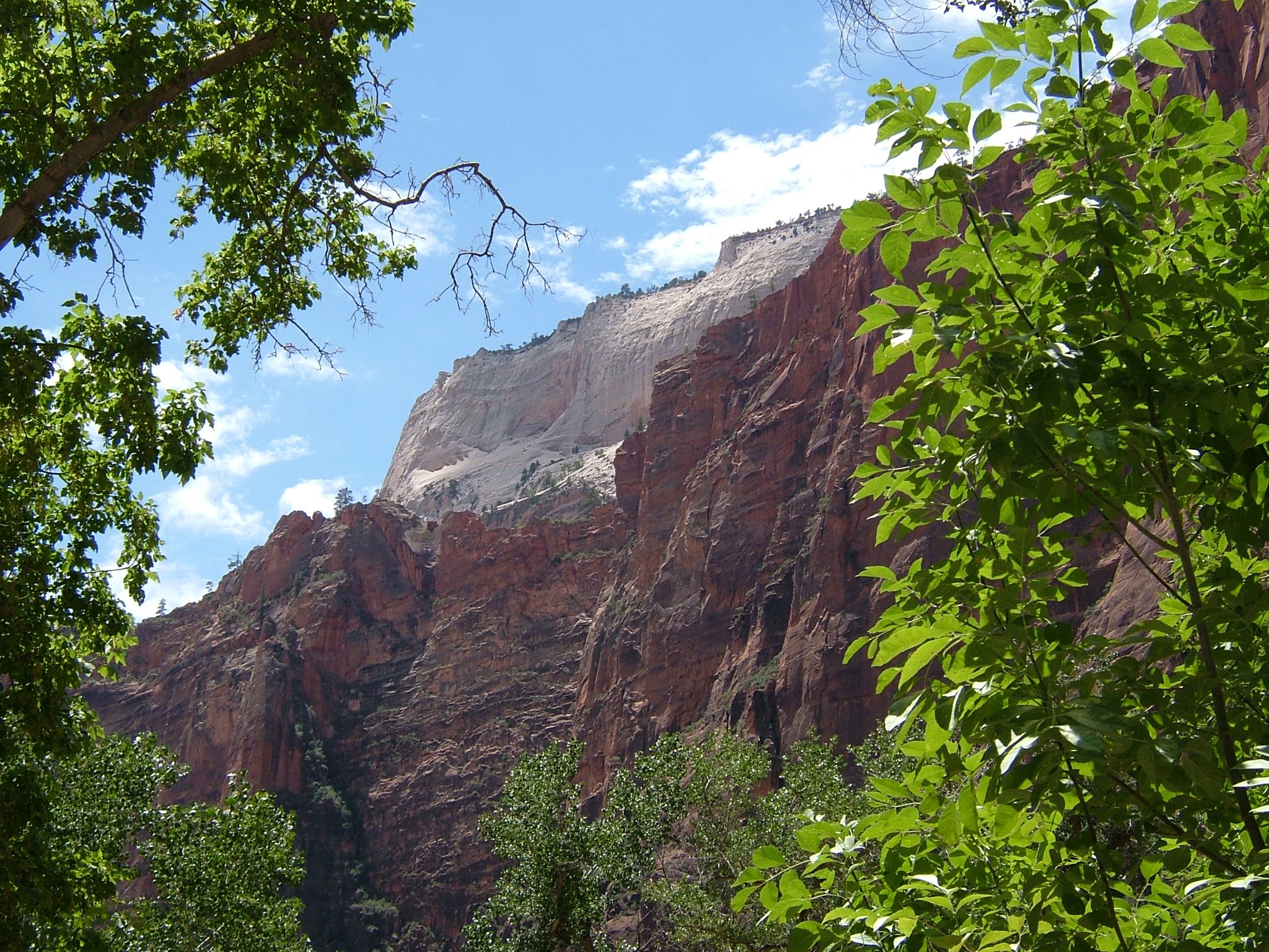 Photo 27 of 61 from the album Highlights USA 2004.