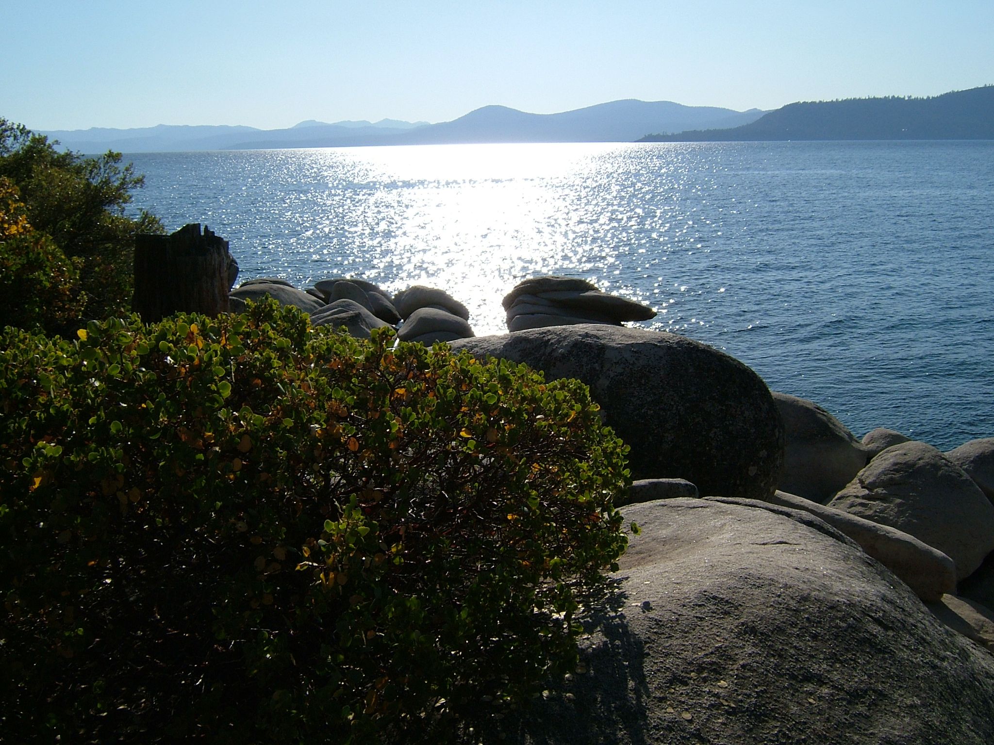 Photo 35 of 61 from the album Highlights USA 2004.