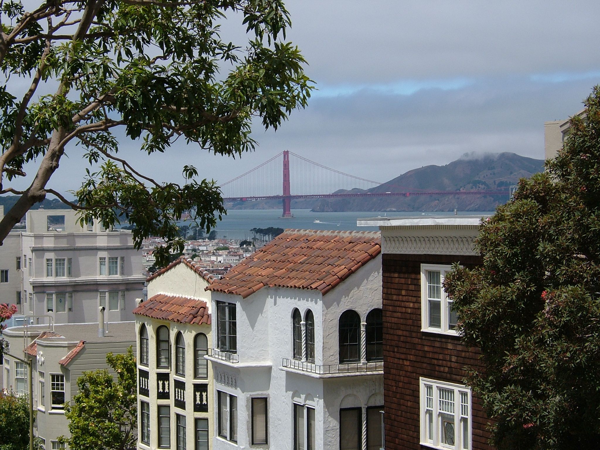 Photo 39 of 61 from the album Highlights USA 2004.