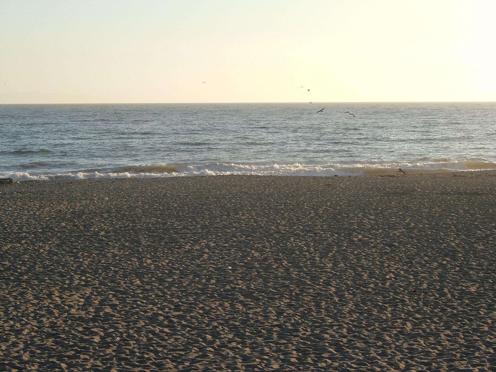 Photo 45 of 61 from the album Highlights USA 2004.