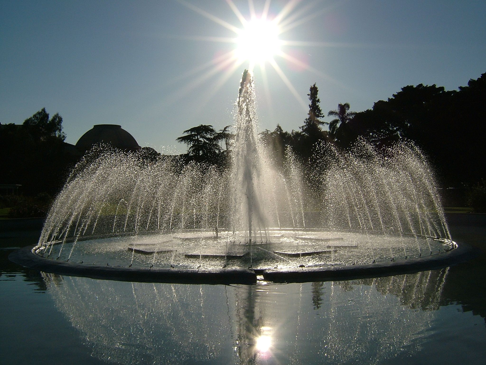 Photo 9 of 61 from the album Highlights USA 2004.