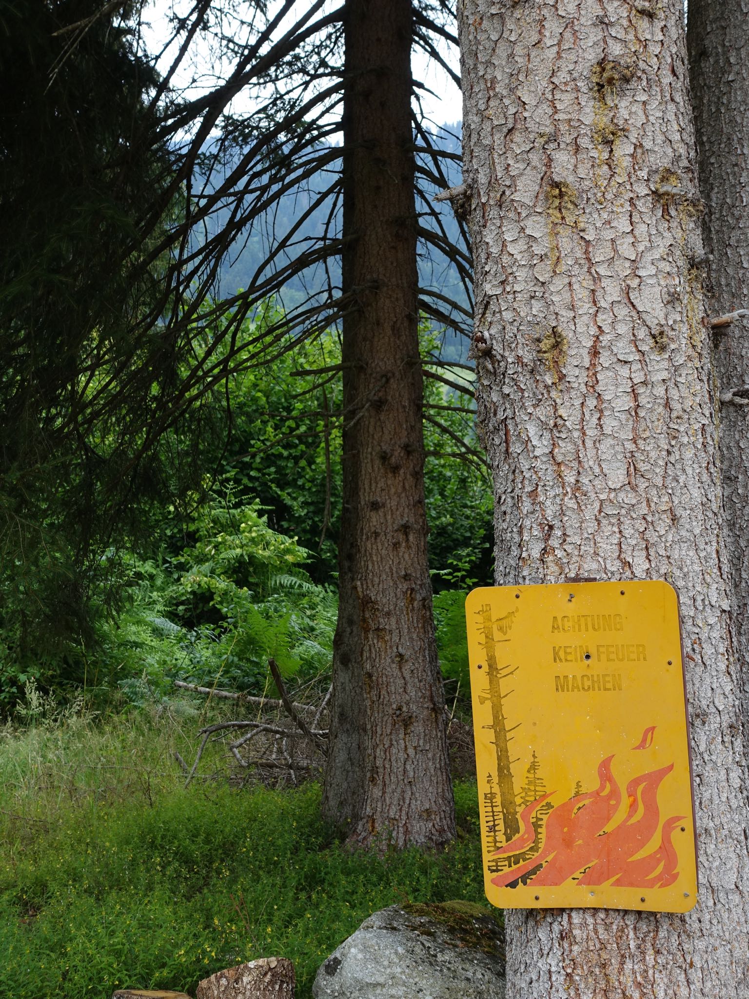 Photo 24 of 120 from the album Highlights Vuorz 2015.