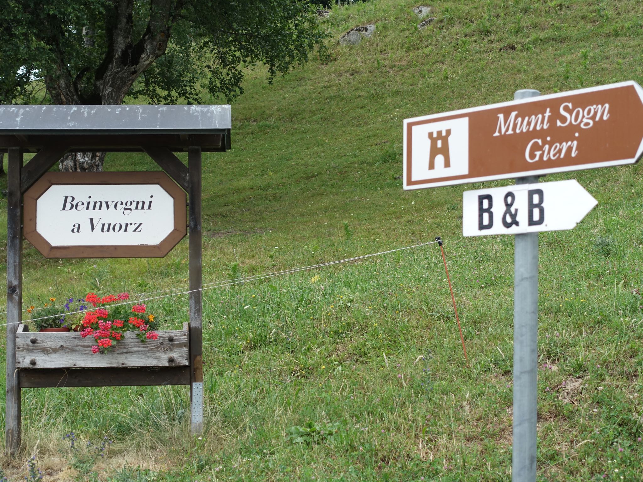 Photo 26 of 120 from the album Highlights Vuorz 2015.