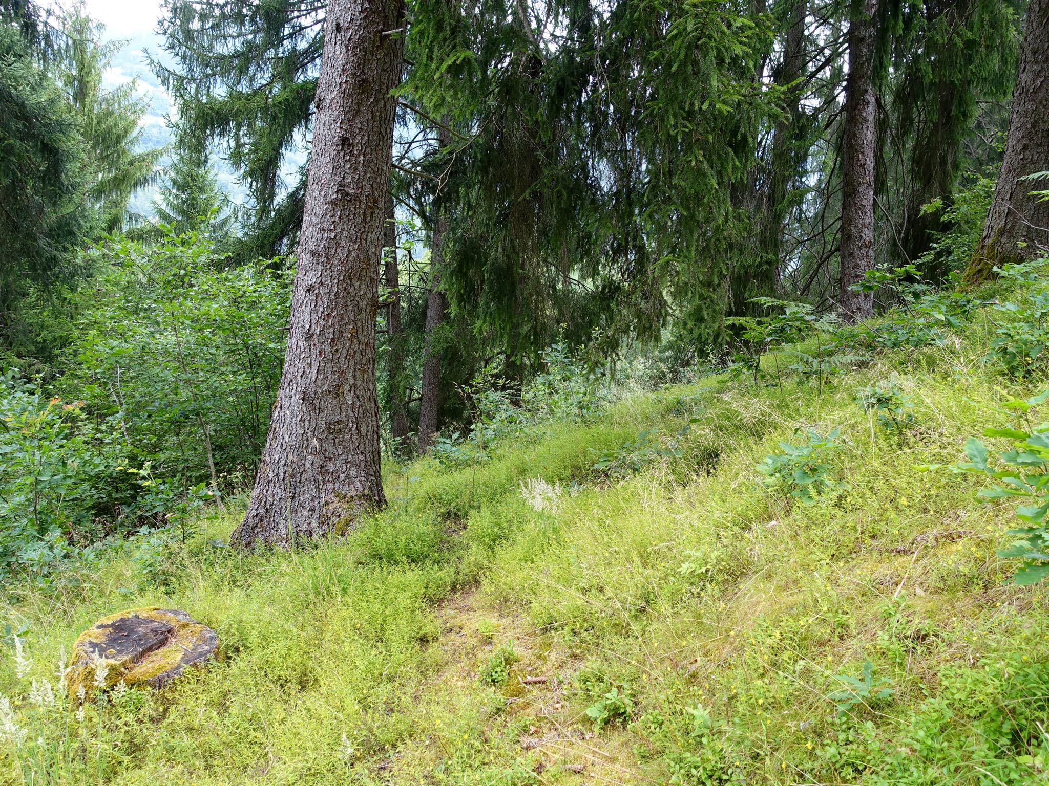 Photo 3 of 120 from the album Highlights Vuorz 2015.