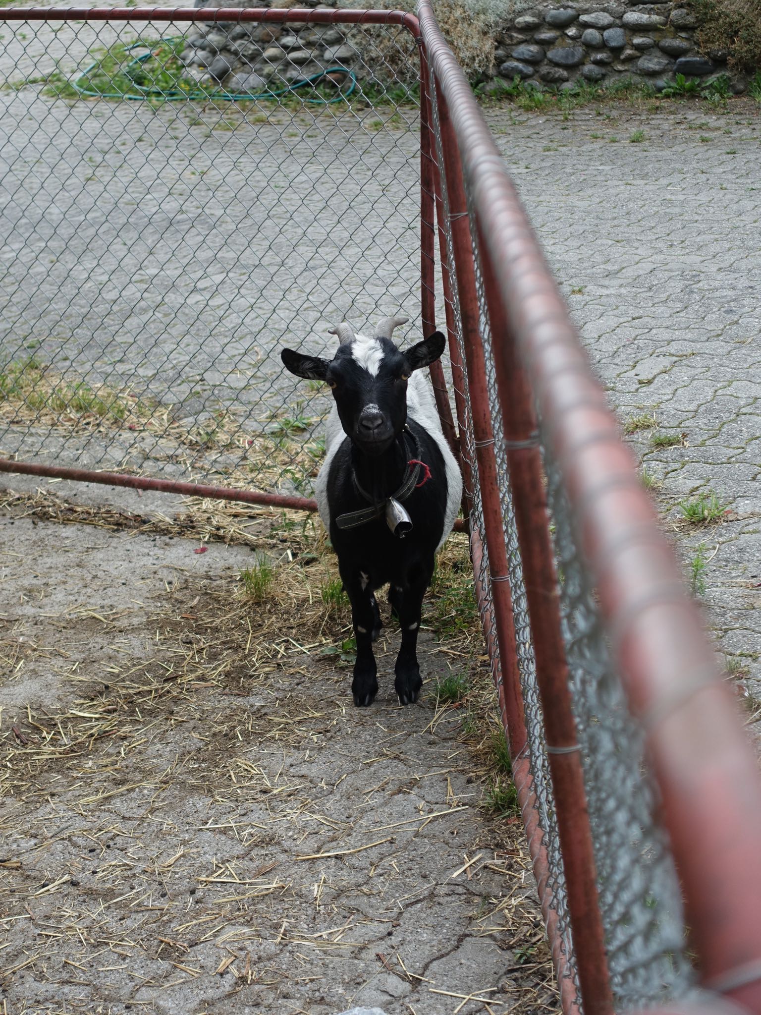 Photo 31 of 120 from the album Highlights Vuorz 2015.