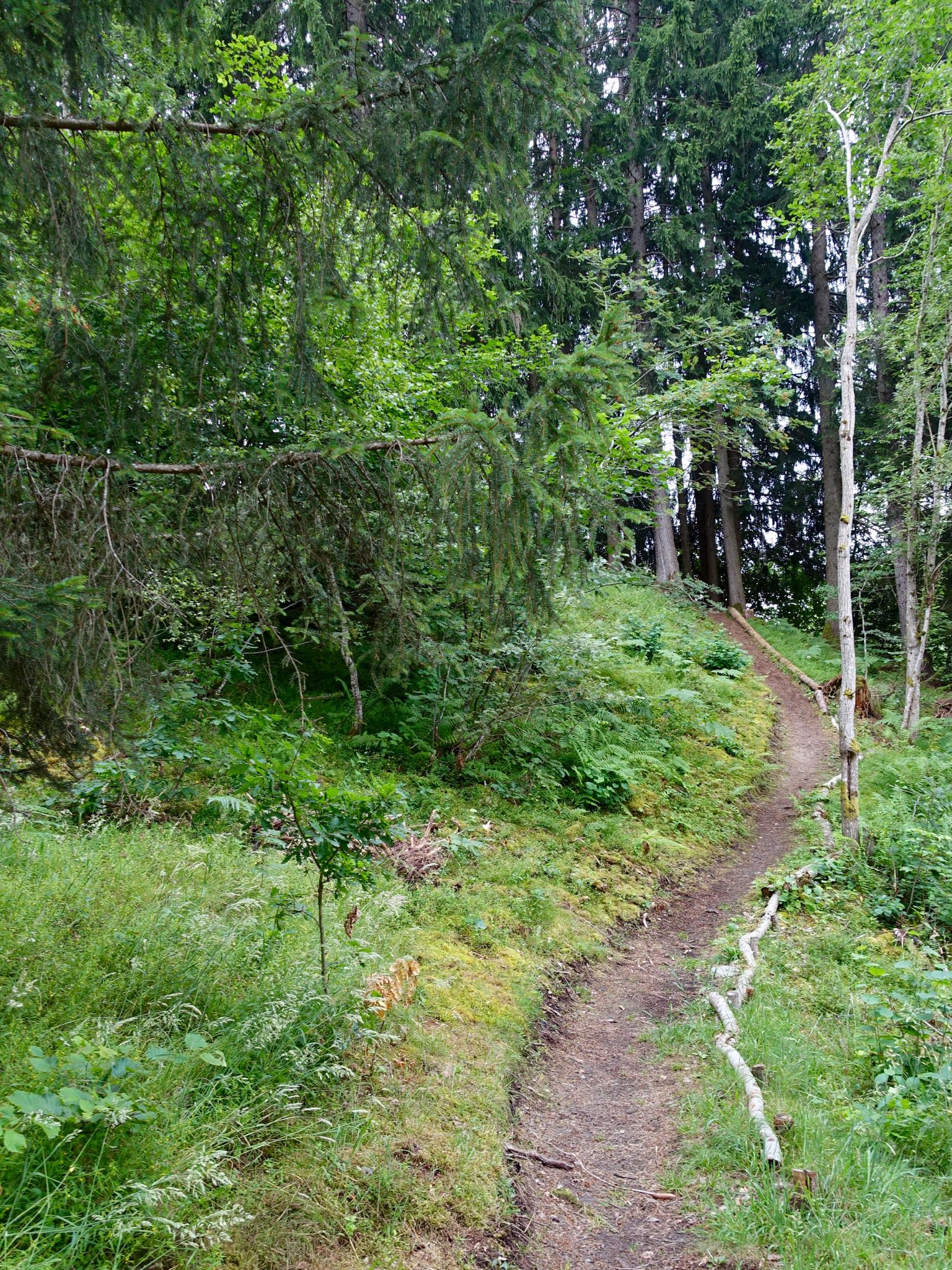 Photo 4 of 120 from the album Highlights Vuorz 2015.