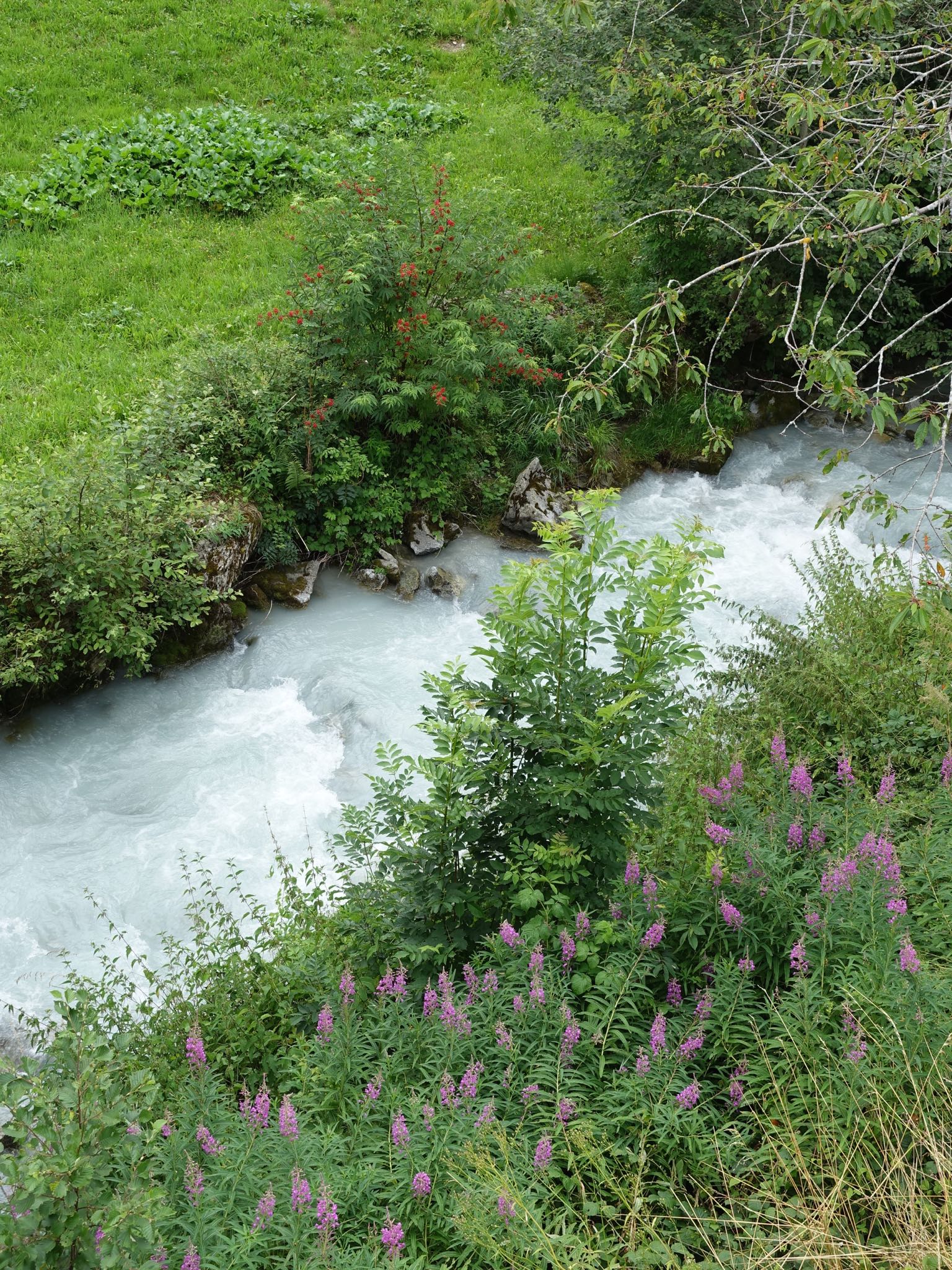 Photo 46 of 120 from the album Highlights Vuorz 2015.