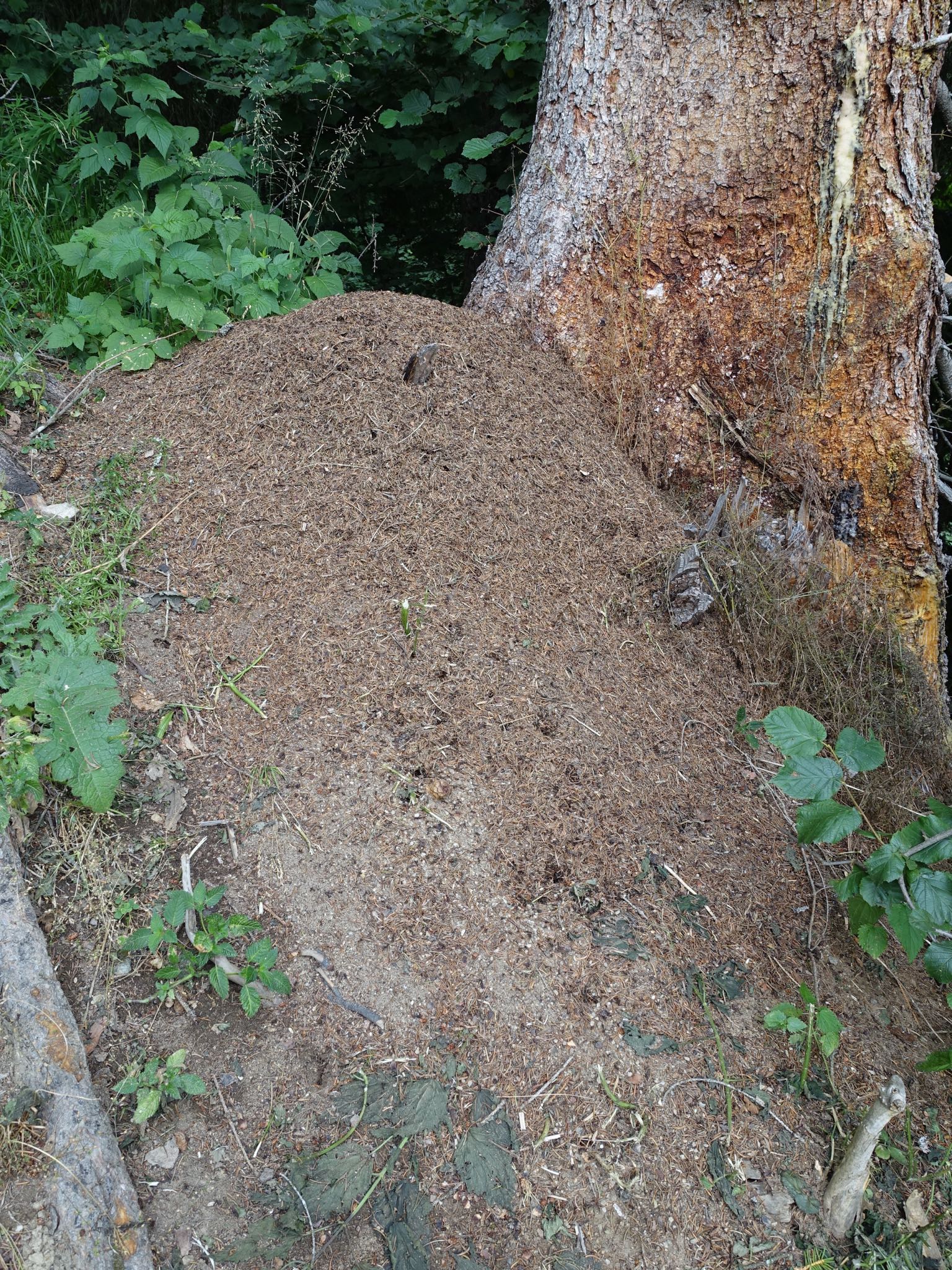 Photo 48 of 120 from the album Highlights Vuorz 2015.