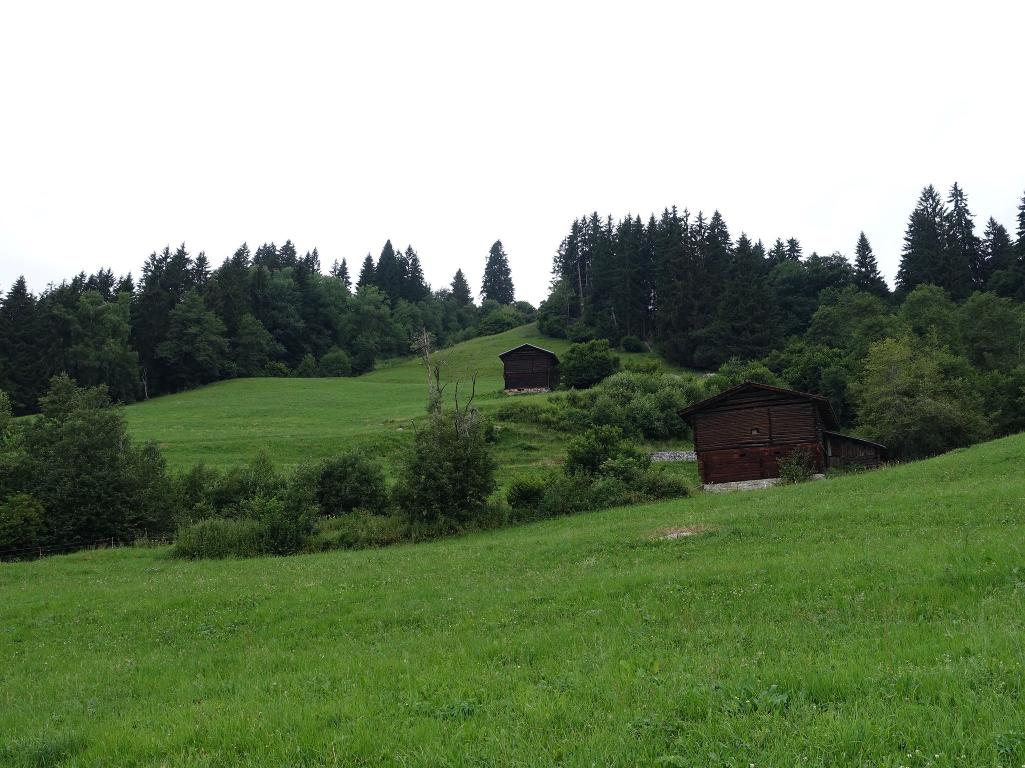 Photo 53 of 120 from the album Highlights Vuorz 2015.