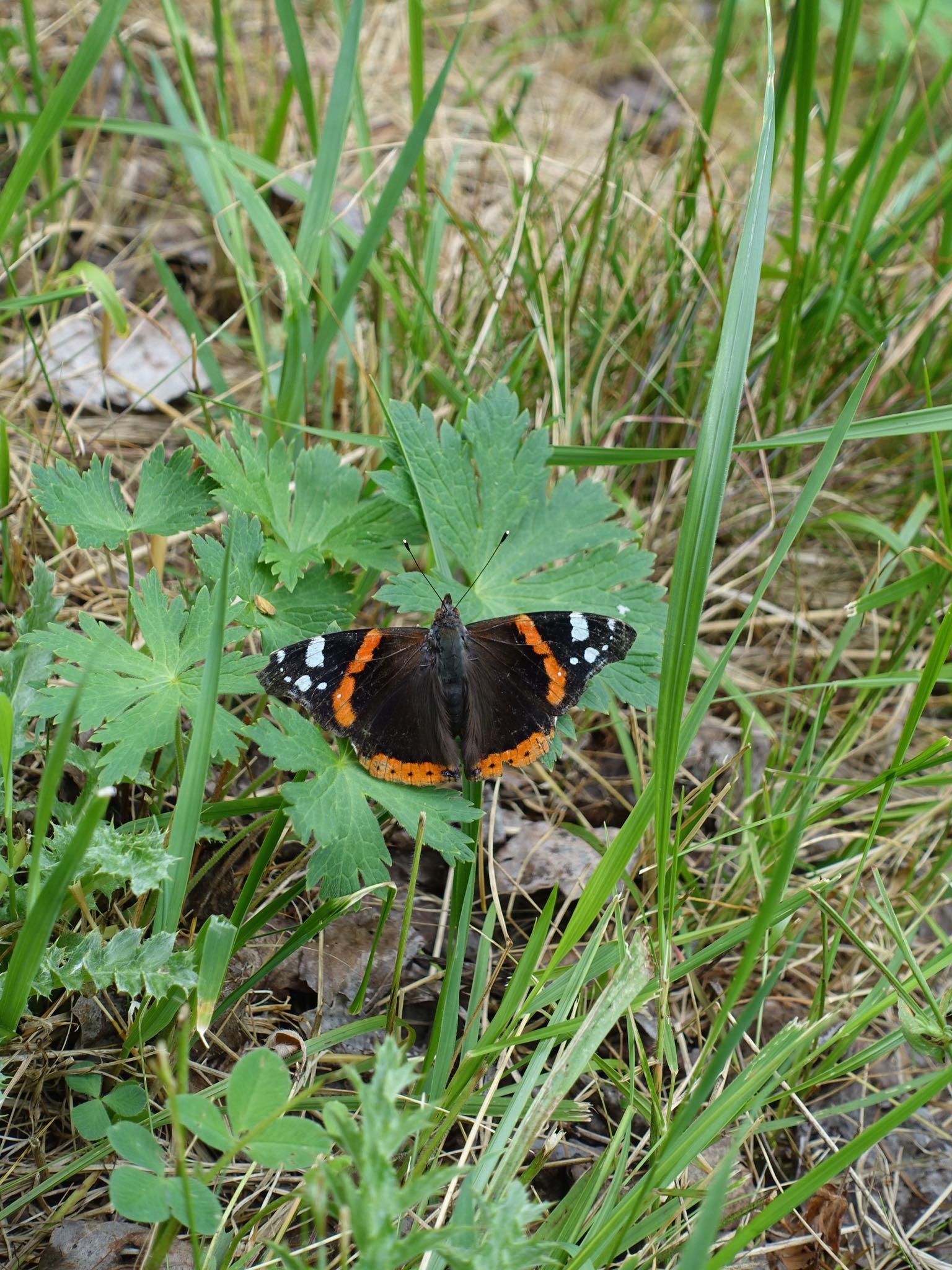 Photo 56 of 120 from the album Highlights Vuorz 2015.