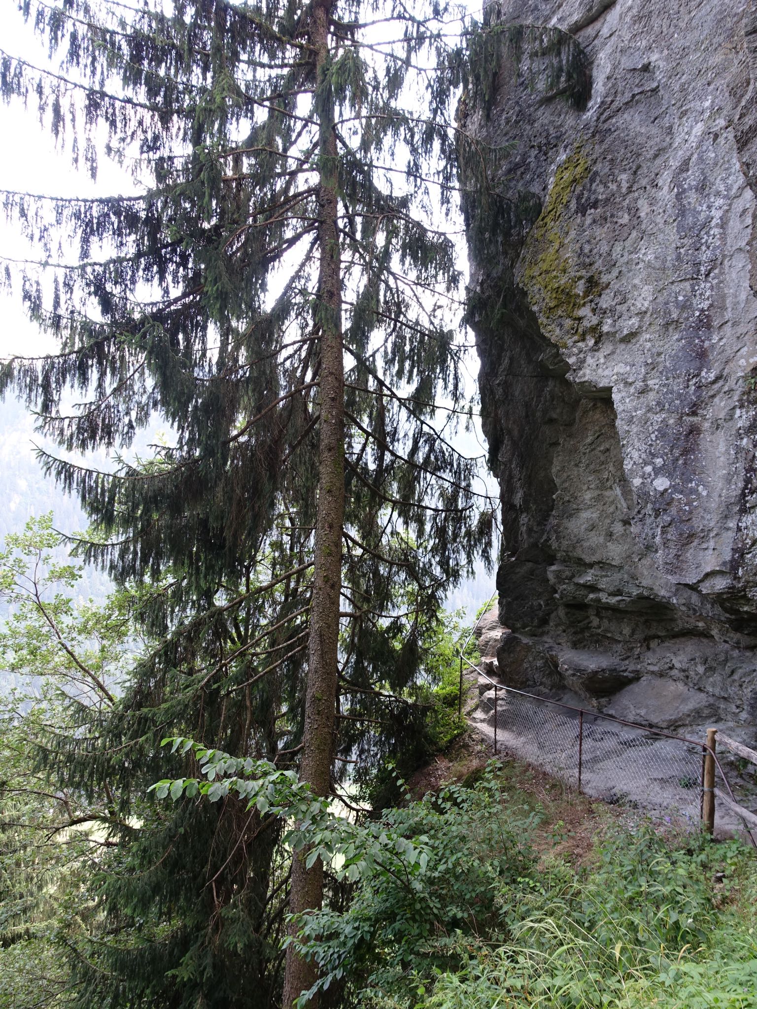 Photo 63 of 120 from the album Highlights Vuorz 2015.