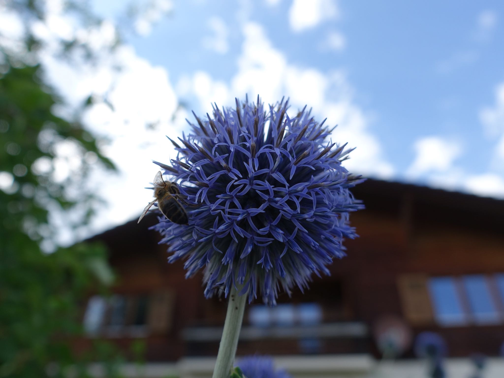 Photo 77 of 120 from the album Highlights Vuorz 2015.