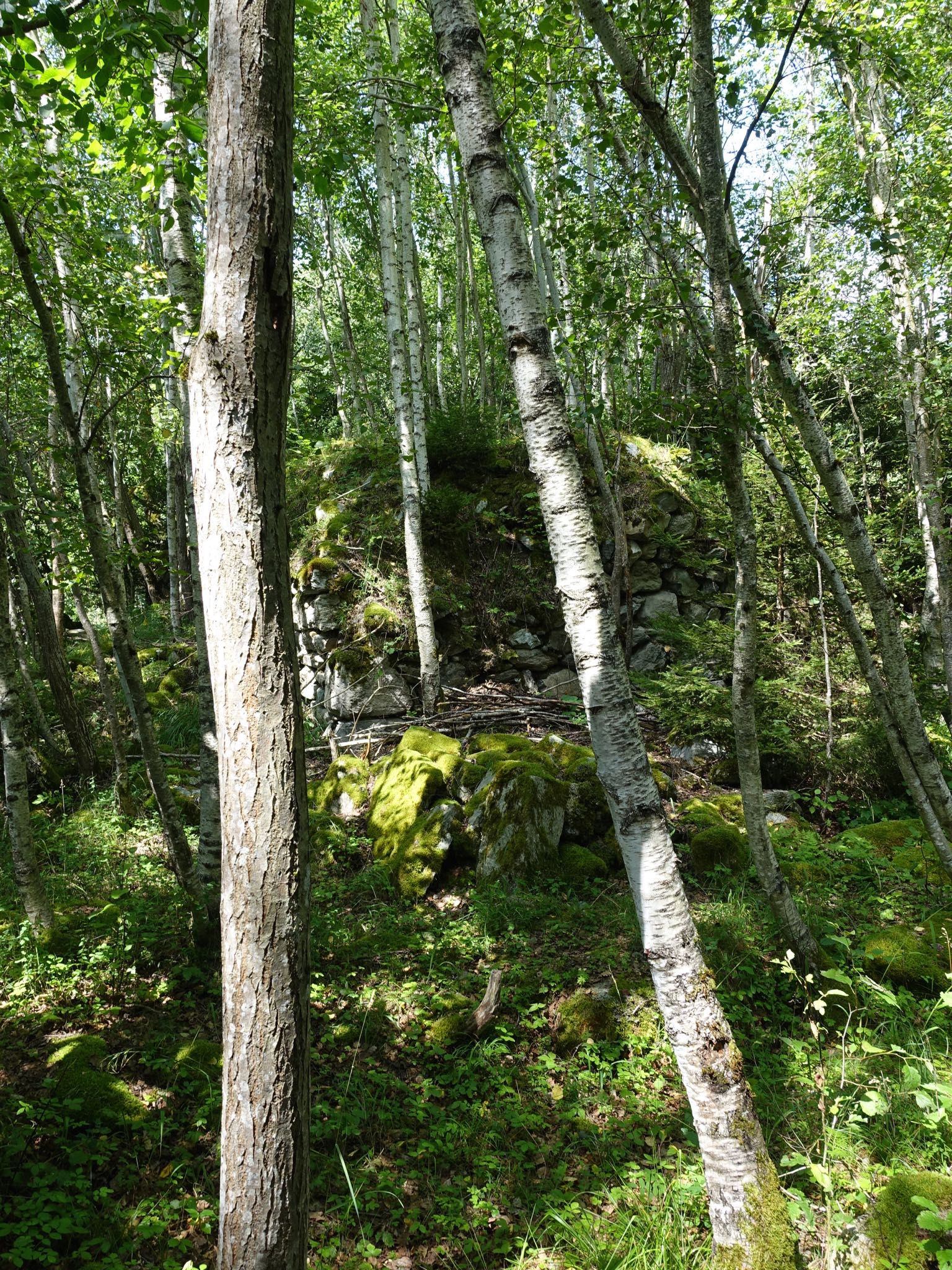 Photo 85 of 120 from the album Highlights Vuorz 2015.