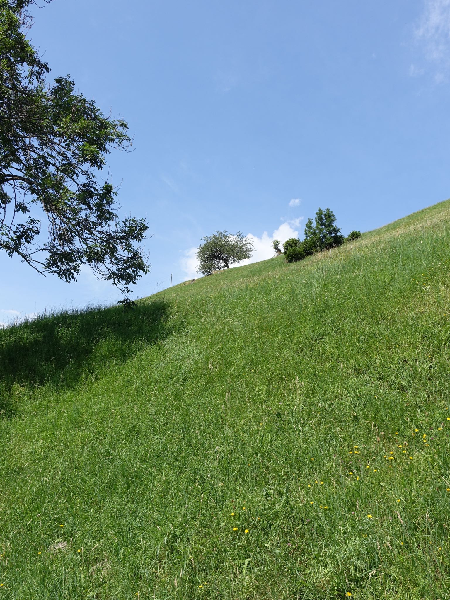 Photo 89 of 120 from the album Highlights Vuorz 2015.