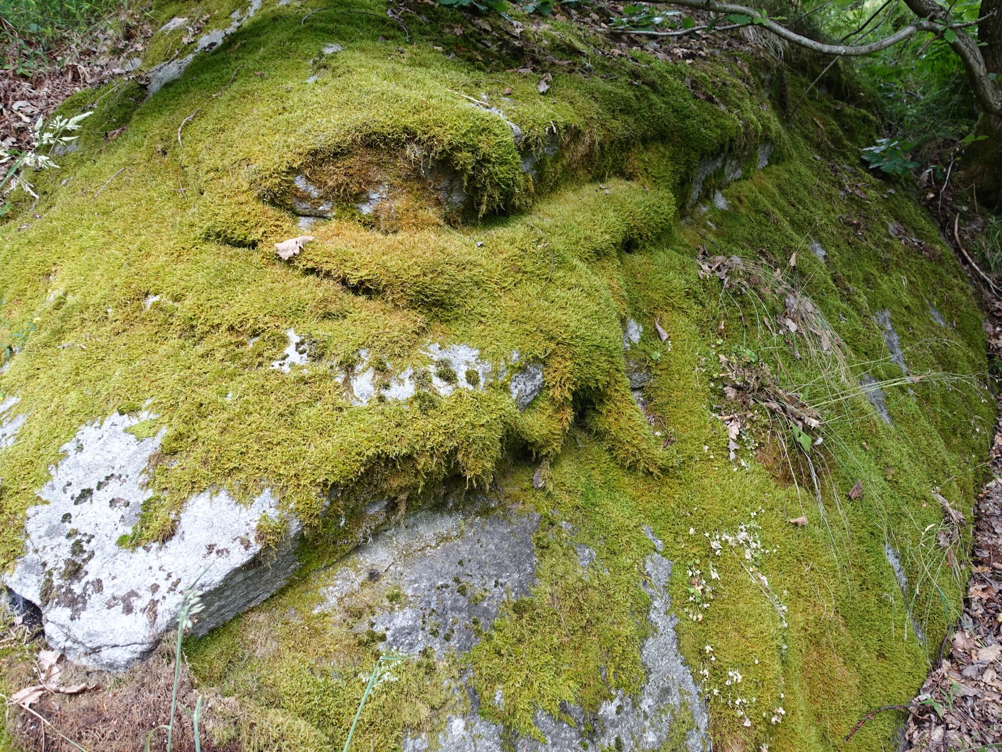 Photo 9 of 120 from the album Highlights Vuorz 2015.