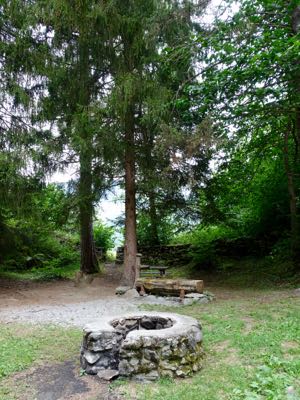 Thumbnail 10 of 120.