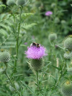 Thumbnail 25 of 120.