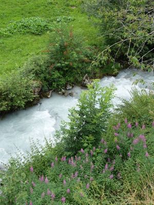 Thumbnail 46 of 120.