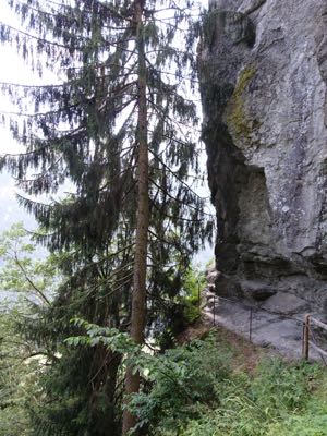 Thumbnail 63 of 120.