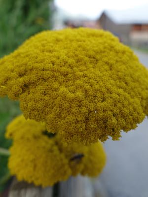 Thumbnail 76 of 120.