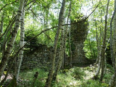 Thumbnail 83 of 120.