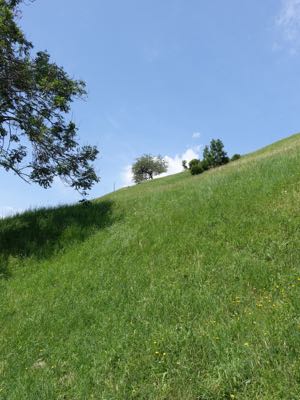 Thumbnail 89 of 120.