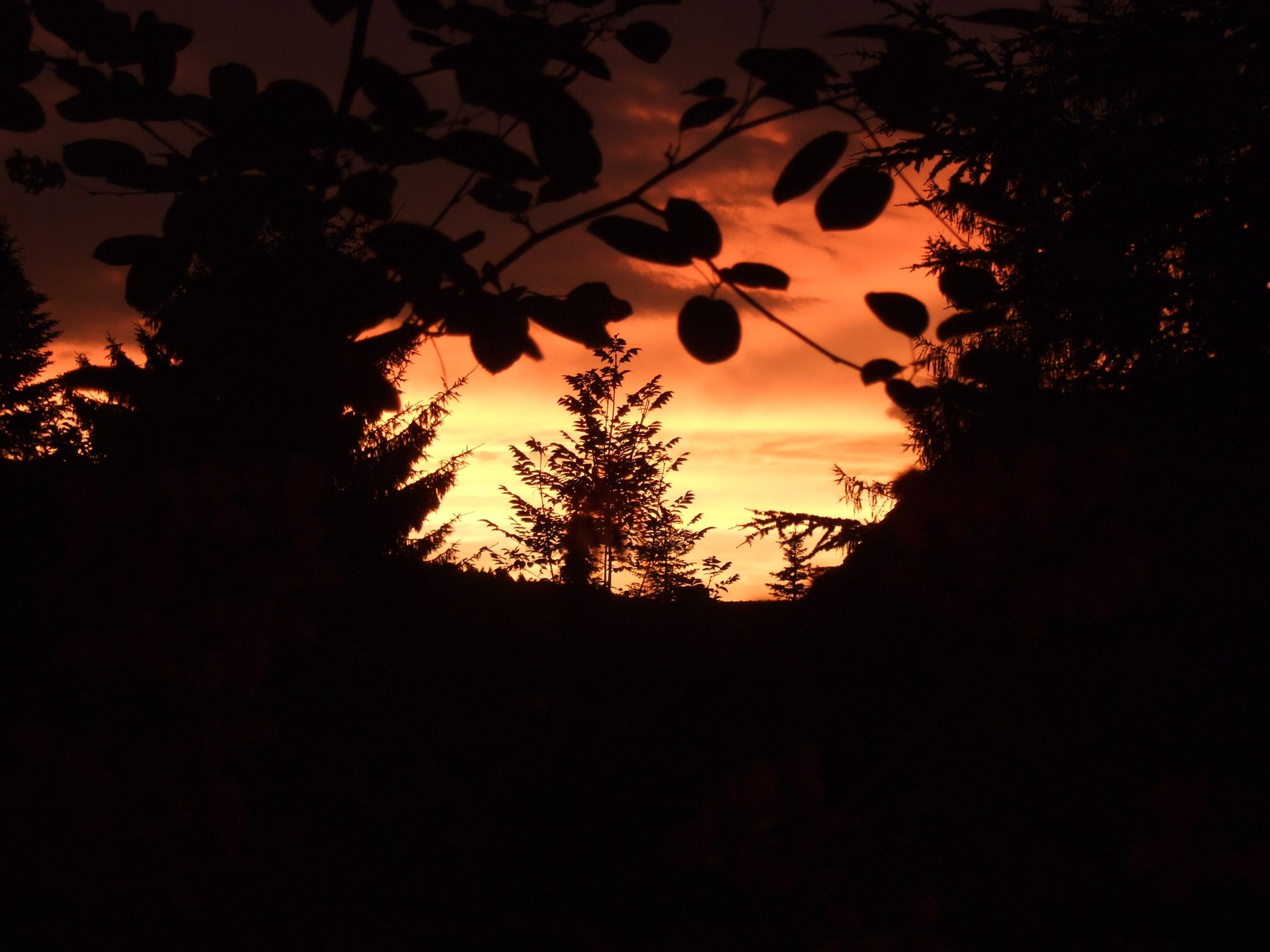 Photo 3 of 13 from the album Weather Phenomena in Embrach.