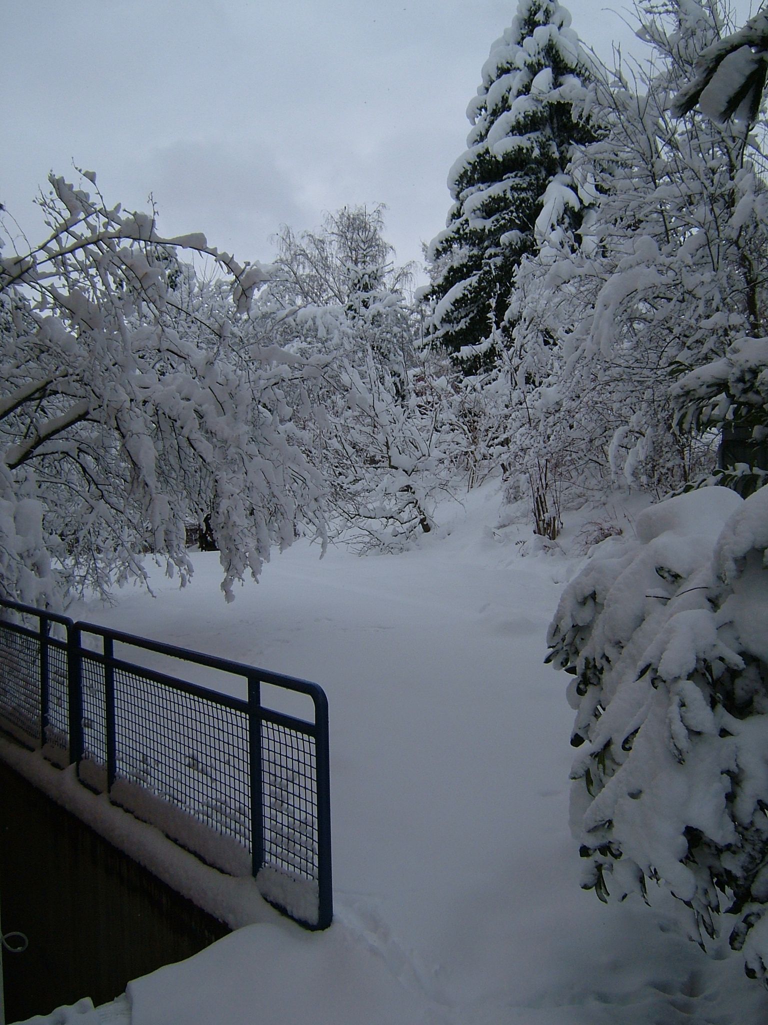 Photo 10 of 23 from the album Winter in Embrach.