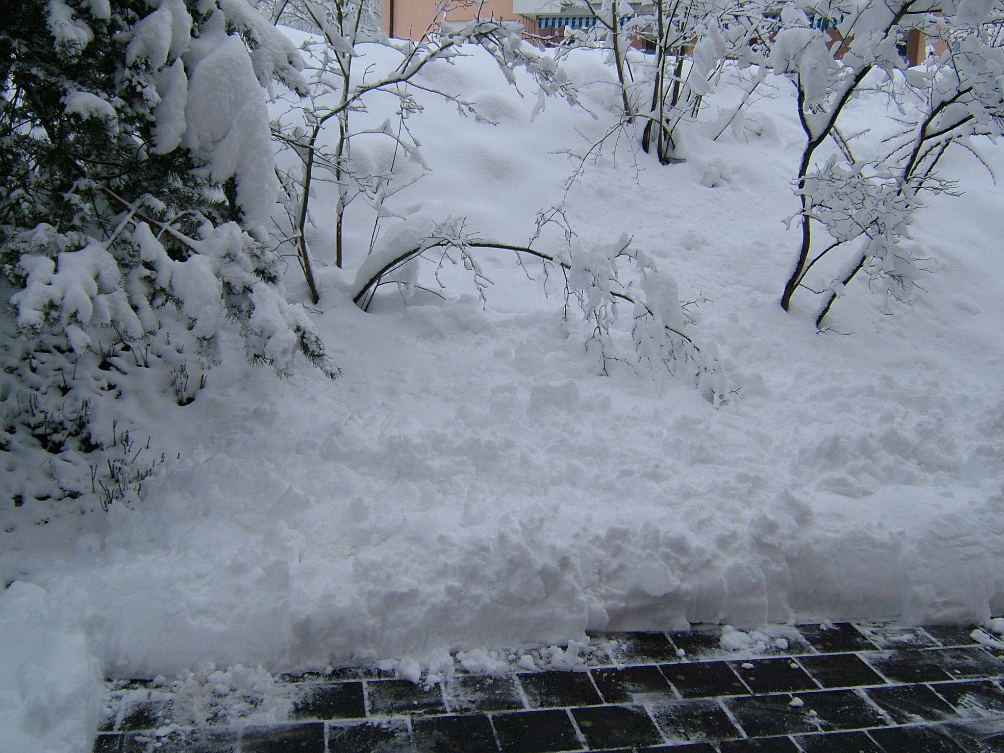 Photo 11 of 23 from the album Winter in Embrach.