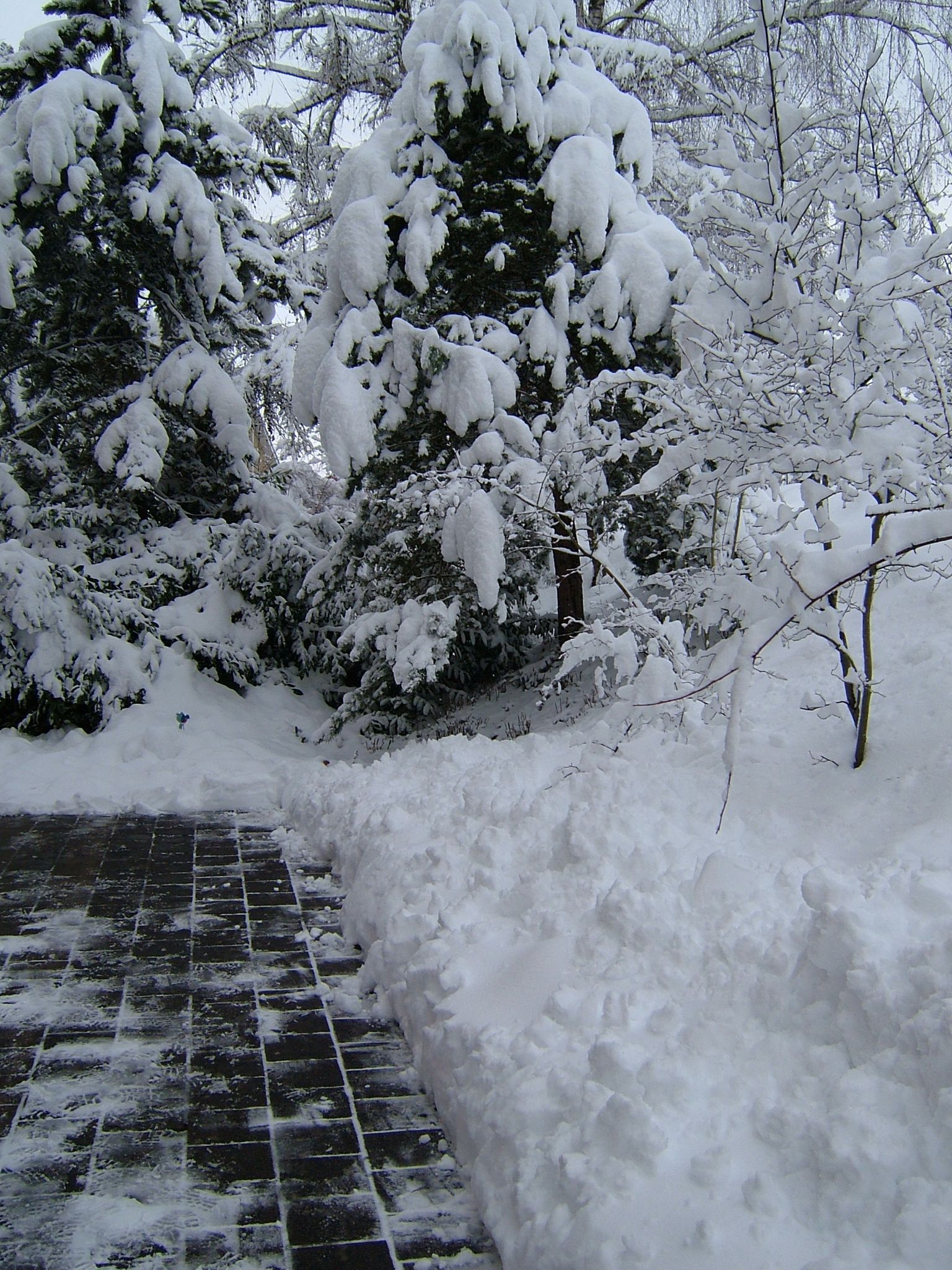 Photo 12 of 23 from the album Winter in Embrach.