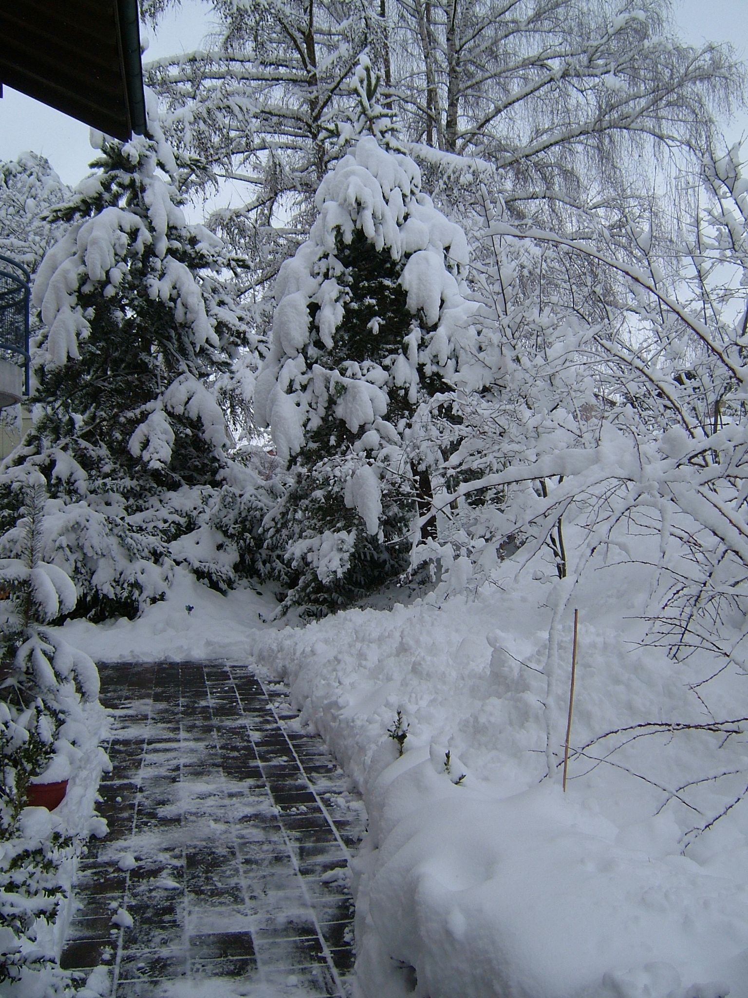 Photo 13 of 23 from the album Winter in Embrach.