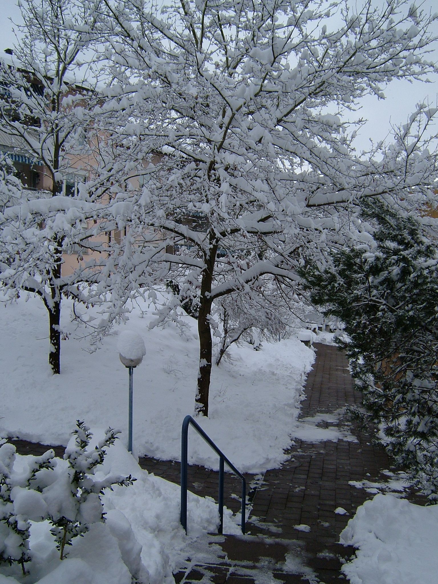 Photo 14 of 23 from the album Winter in Embrach.