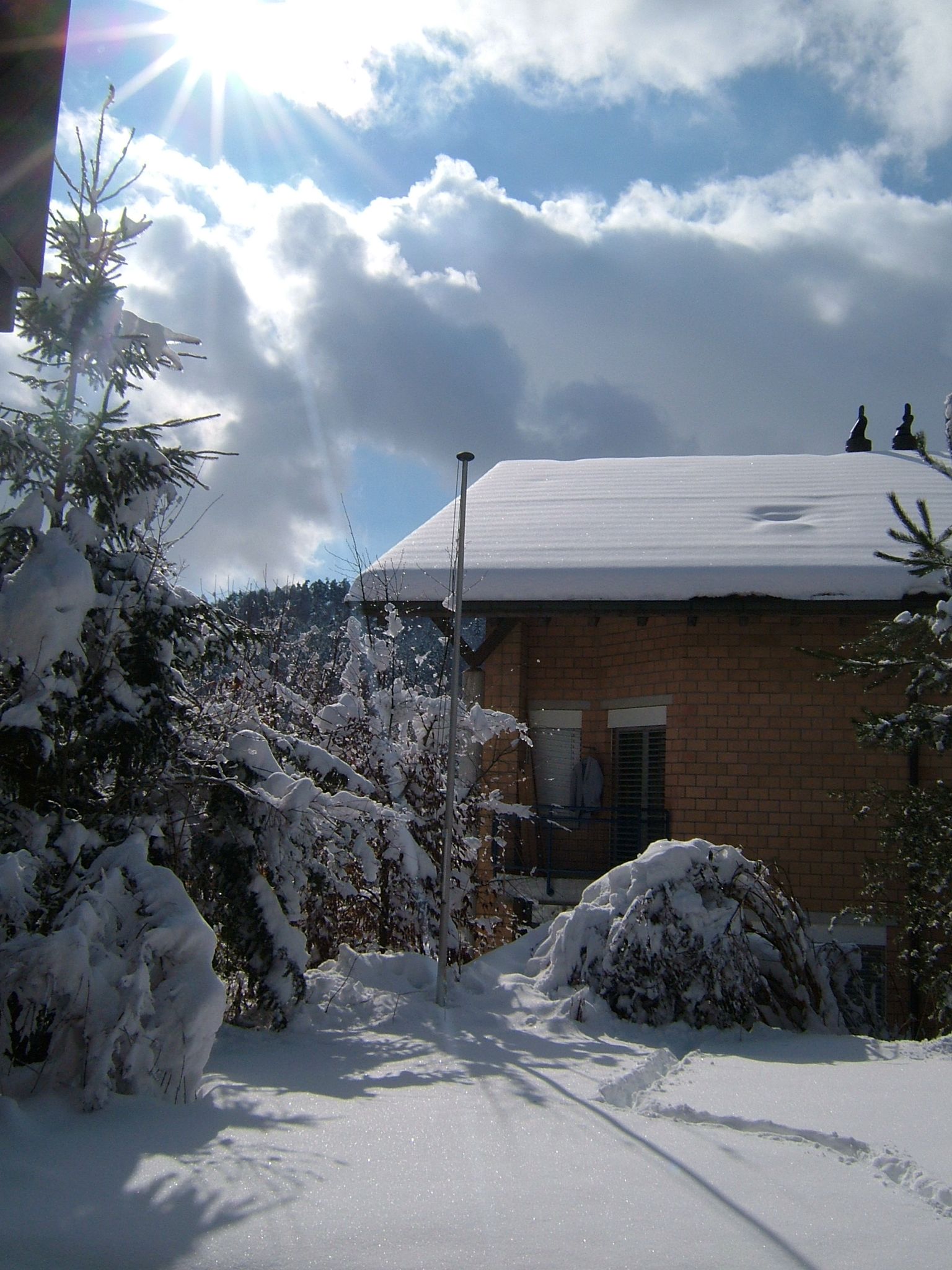 Photo 15 of 23 from the album Winter in Embrach.