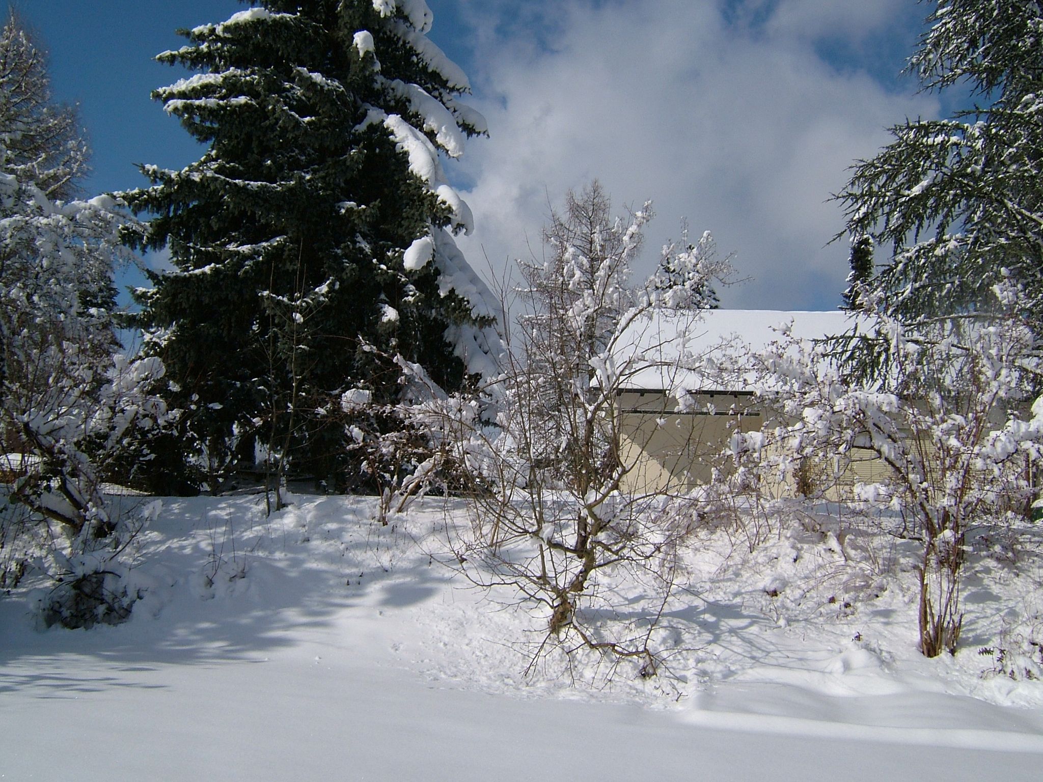 Photo 16 of 23 from the album Winter in Embrach.