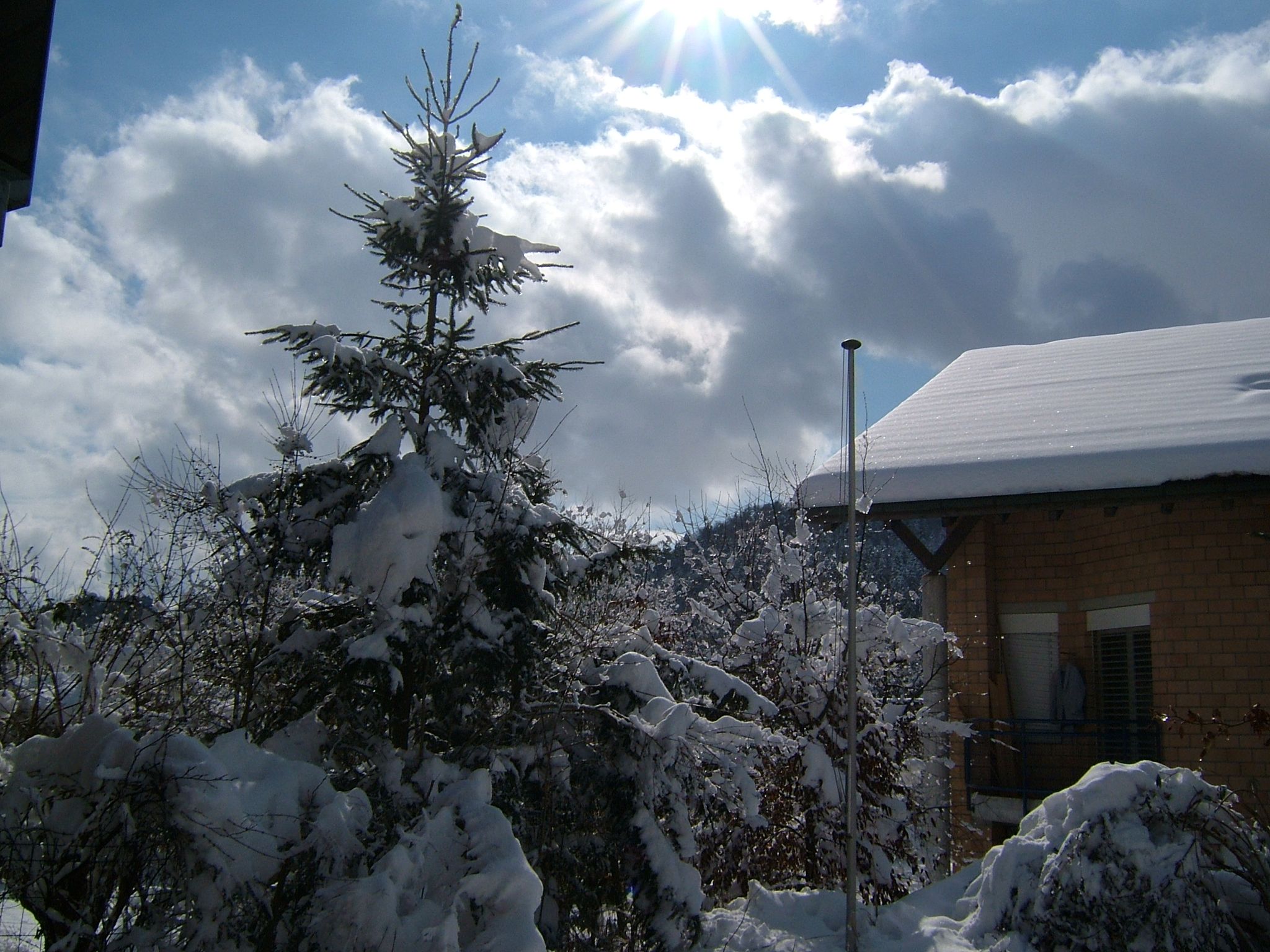 Photo 17 of 23 from the album Winter in Embrach.