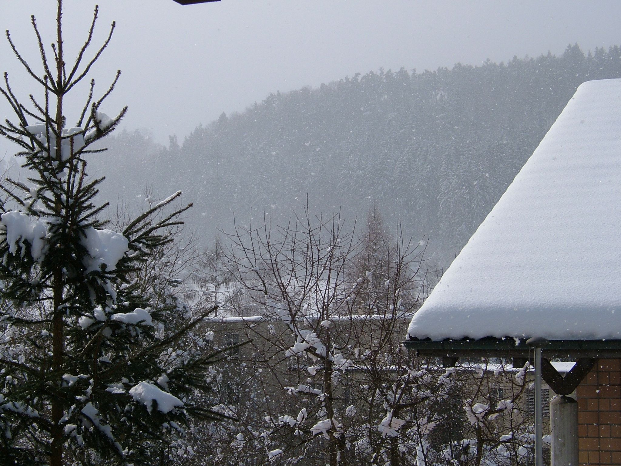 Photo 19 of 23 from the album Winter in Embrach.