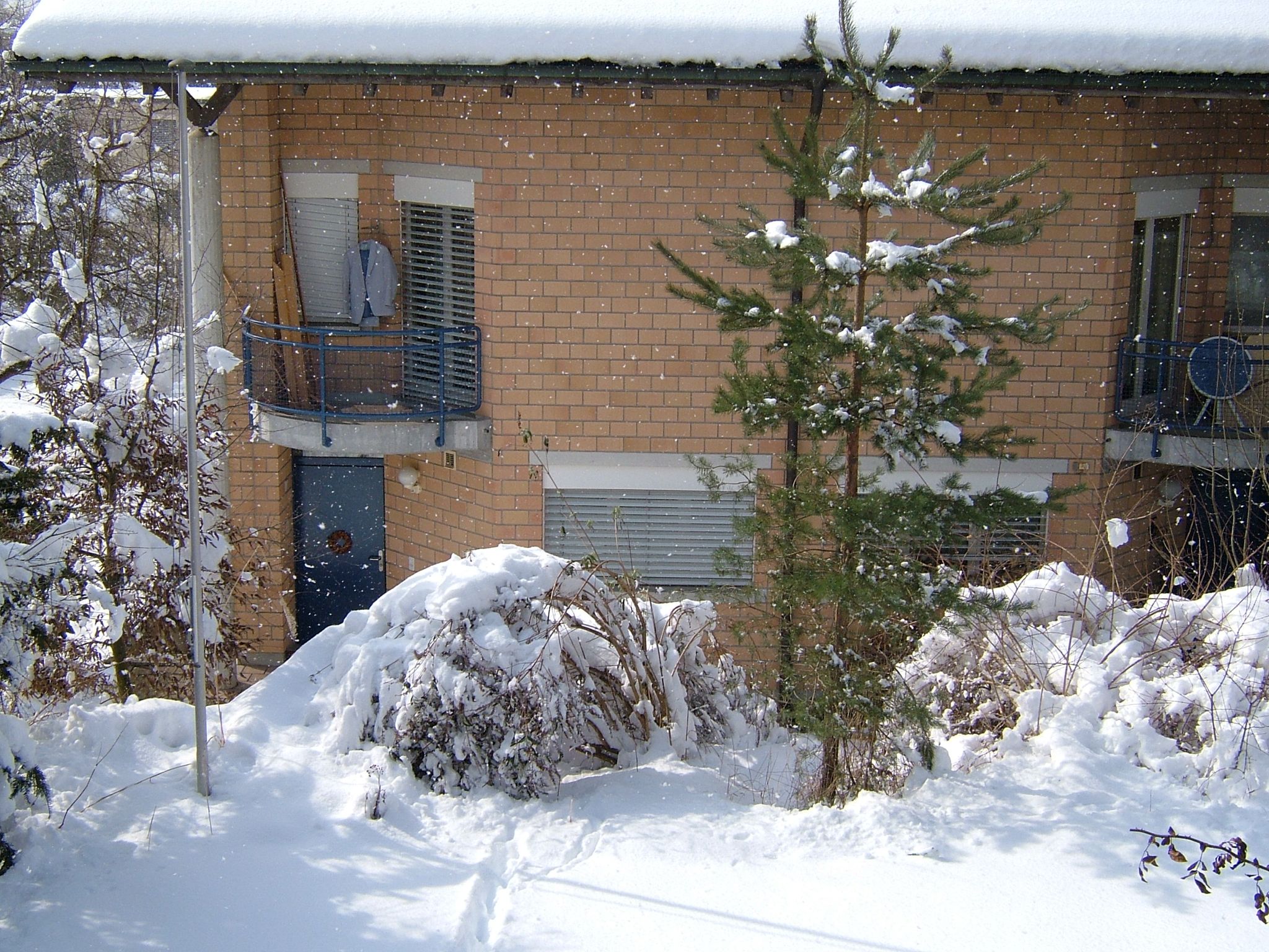 Photo 20 of 23 from the album Winter in Embrach.