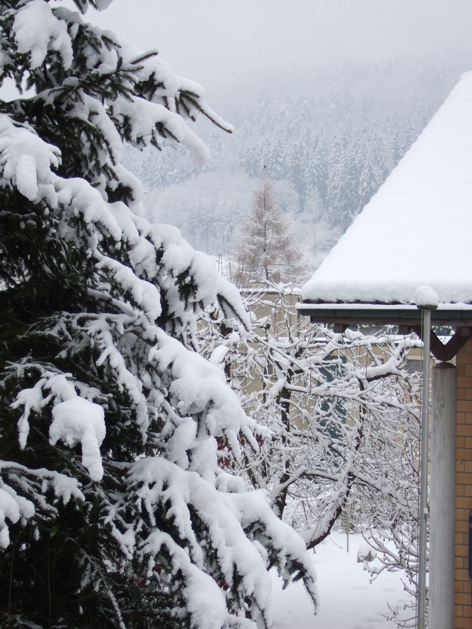 Photo 21 of 23 from the album Winter in Embrach.