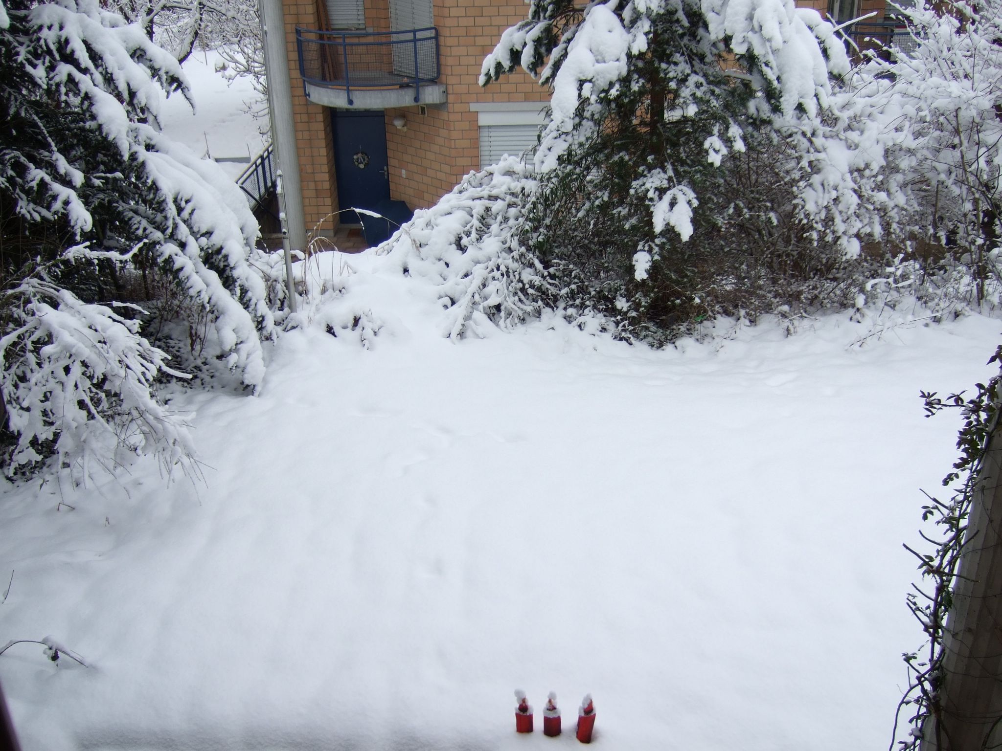 Photo 22 of 23 from the album Winter in Embrach.