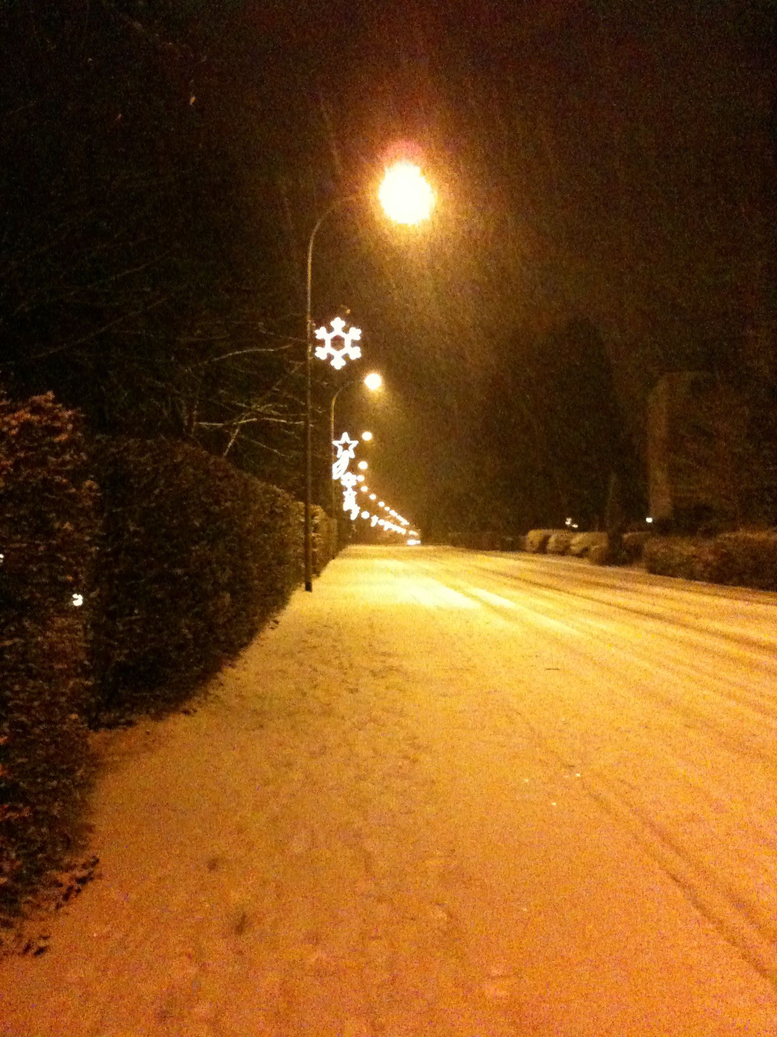 Photo 23 of 23 from the album Winter in Embrach.