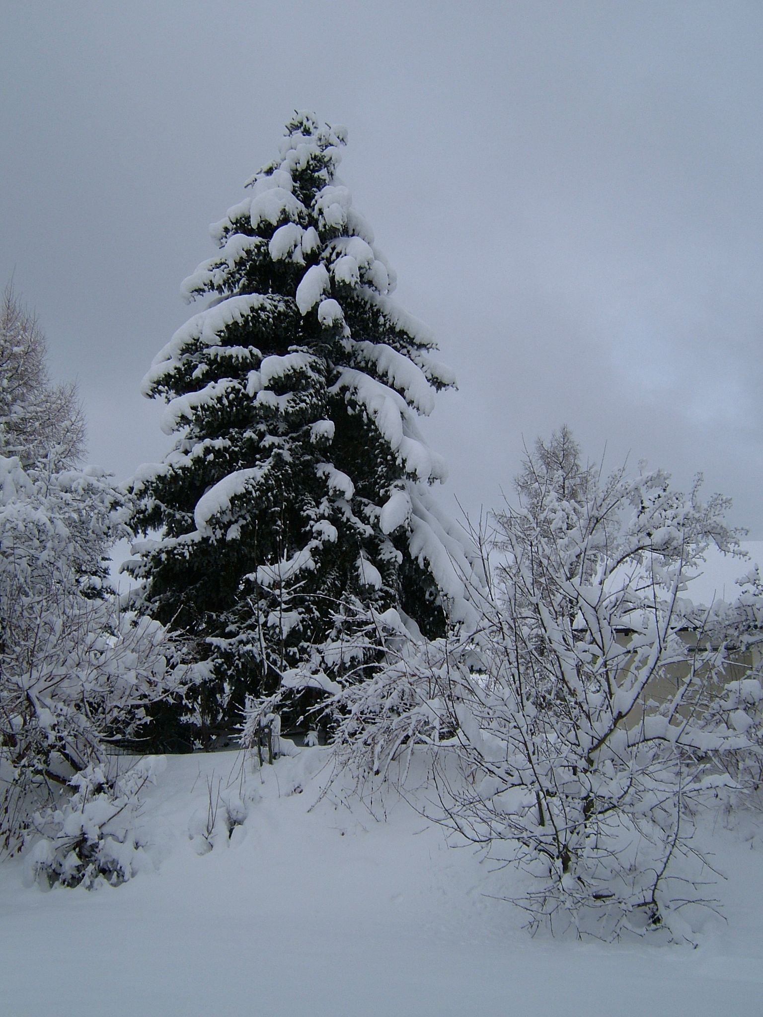 Photo 3 of 23 from the album Winter in Embrach.