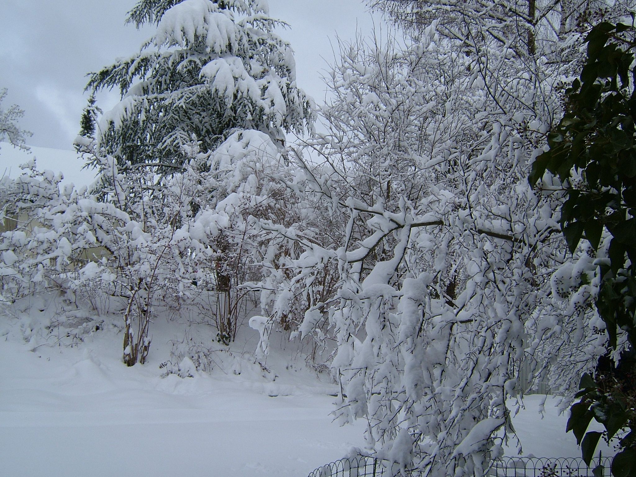 Photo 4 of 23 from the album Winter in Embrach.