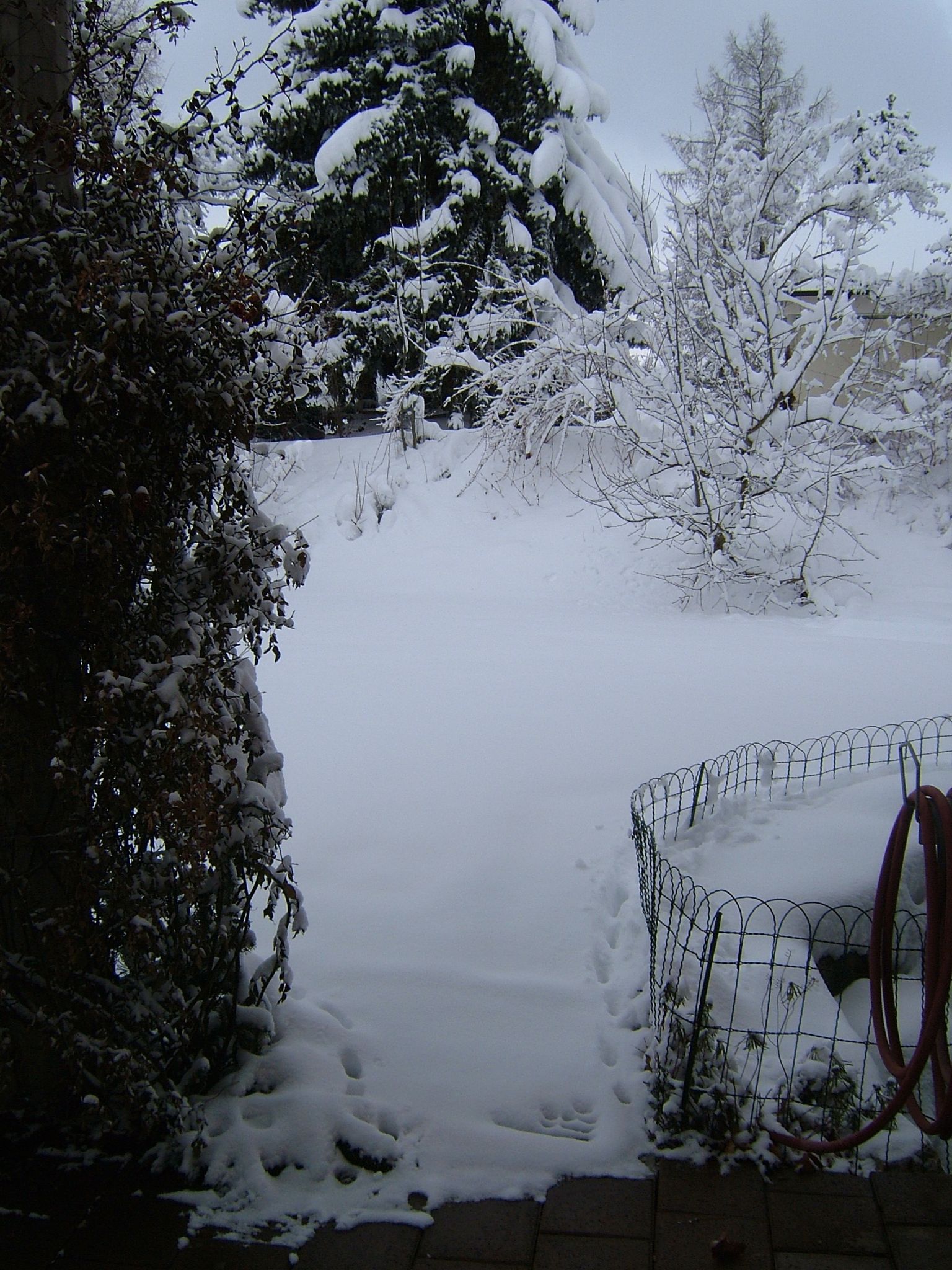 Photo 7 of 23 from the album Winter in Embrach.