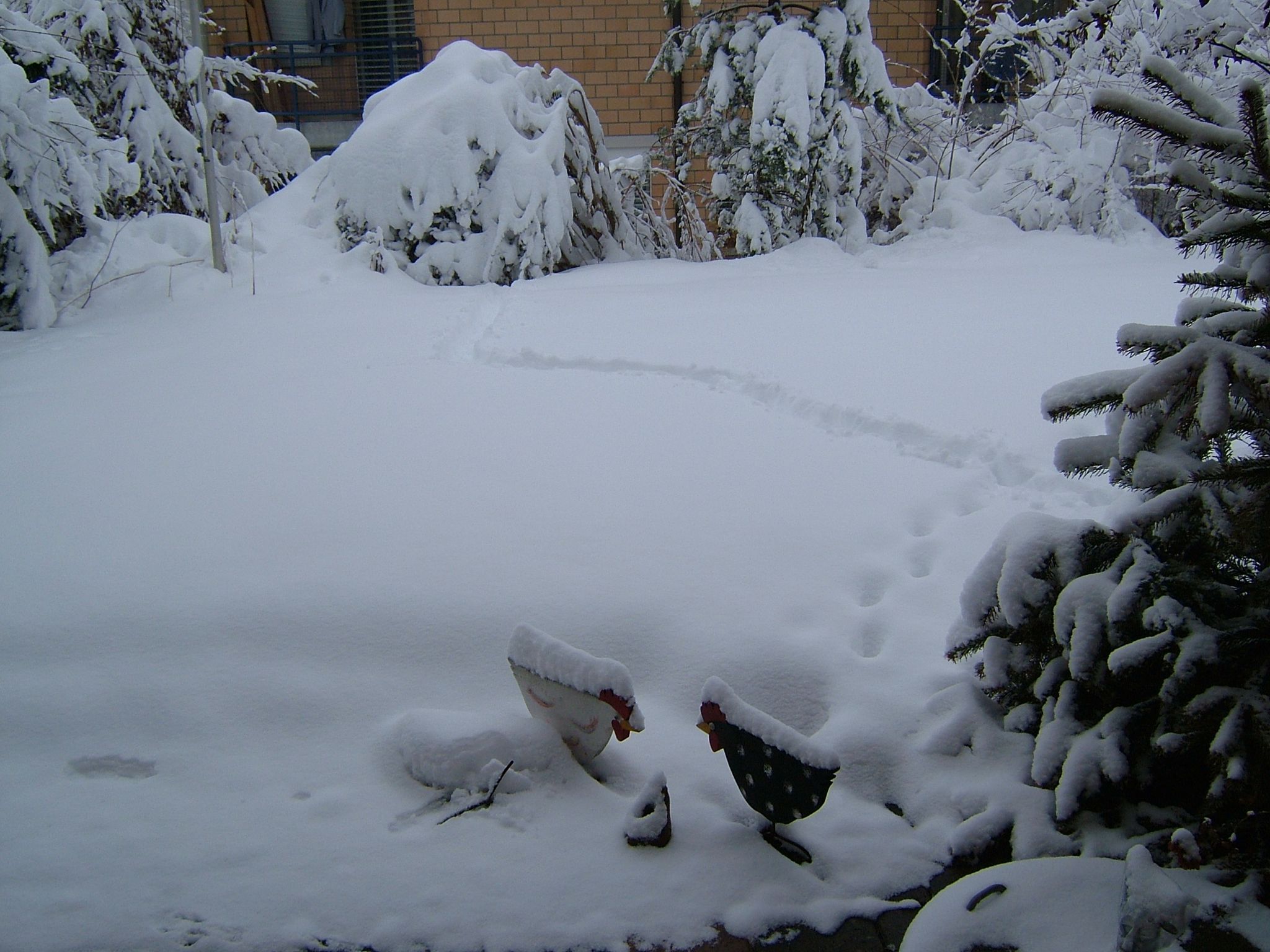 Photo 8 of 23 from the album Winter in Embrach.