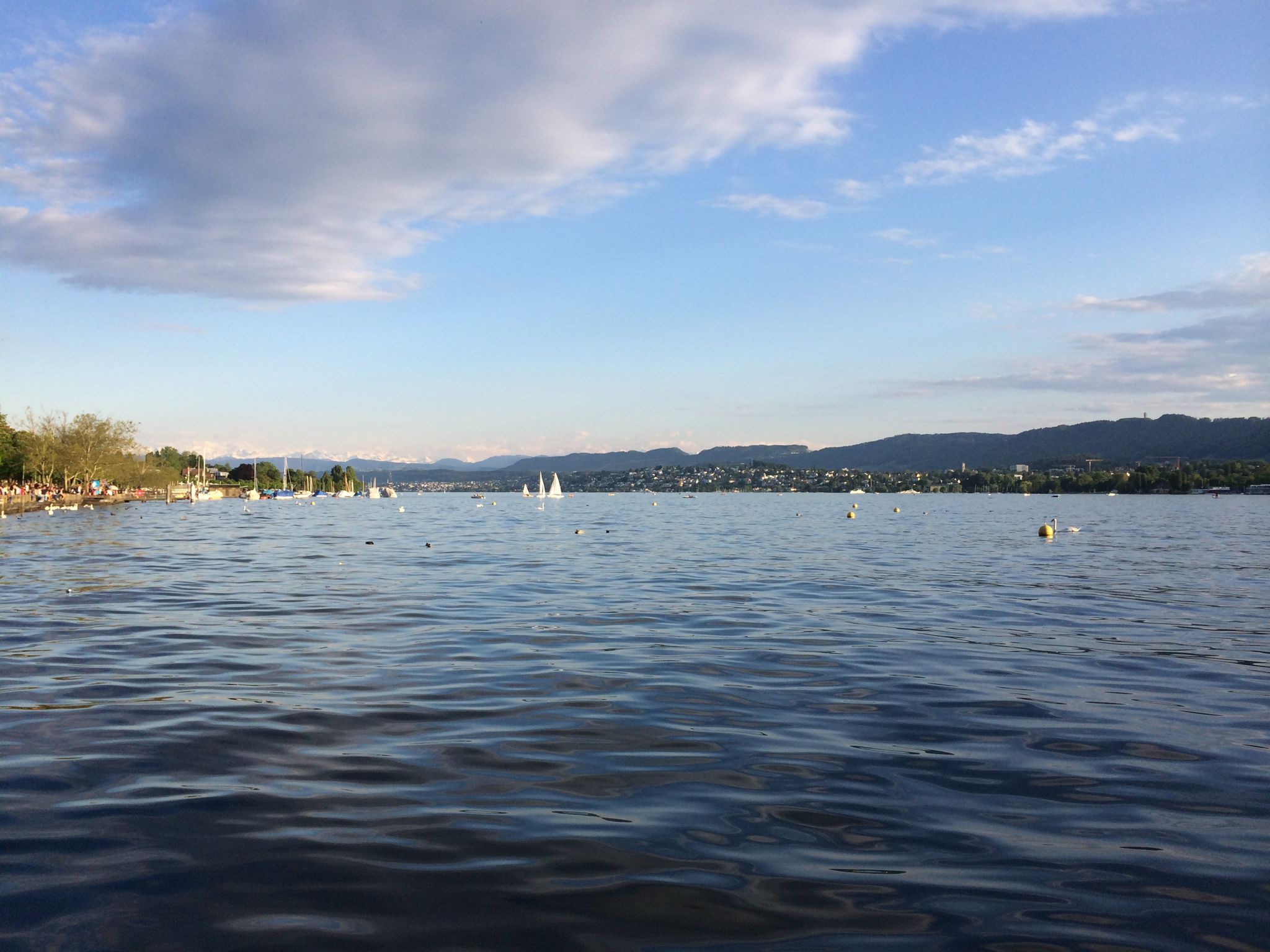 Photo 28 of 43 from the album Zurich.