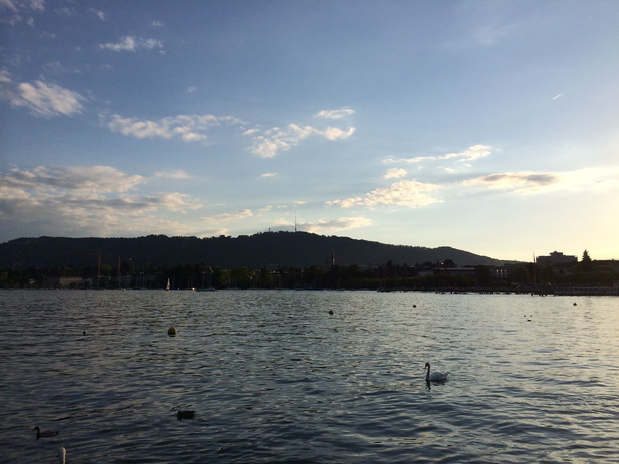 Photo 29 of 43 from the album Zurich.