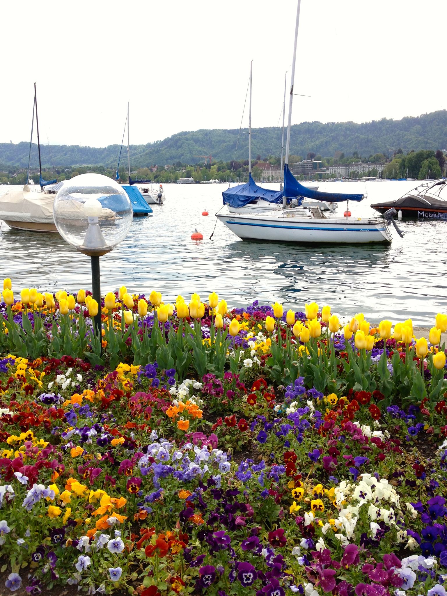 Photo 6 of 43 from the album Zurich.